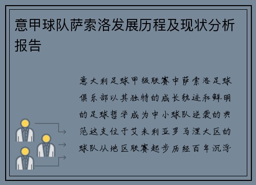 意甲球队萨索洛发展历程及现状分析报告